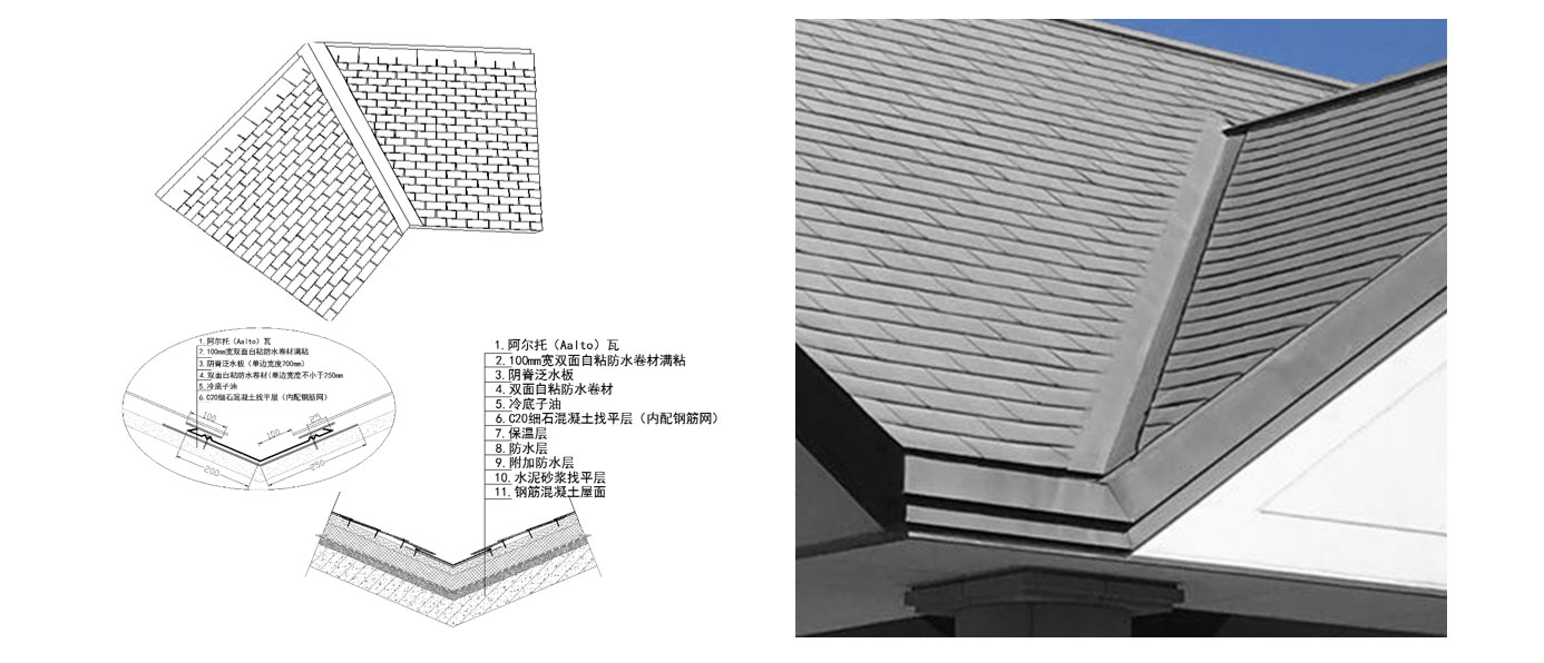 1961611623159605.jpg 5.jpg